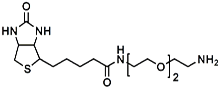 Picture of (+)-Biotin-PEG<sub>2</sub>-CH<sub>2</sub>CH<sub>2</sub>NH<sub>2</sub>