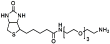 Picture of (+)-Biotin-PEG<sub>3</sub>-CH</sub>2</sub>CH<sub>2</sub>NH<sub>2</sub>
