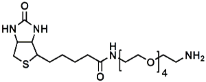 Picture of (+)-Biotin-PEG<sub>4</sub>-CH<sub>2</sub>CH<sub>2</sub>NH<sub>2</sub>