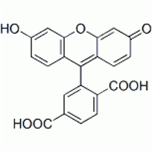 Picture of 6 - Carboxyfluorescein