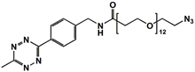 Picture of Methyltetrazine-amino-PEG<sub>12</sub>-azide