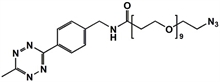 Picture of Methyltetrazine-amino-PEG<sub>9</sub>-azide