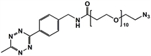 Picture of Methyltetrazine-amino-PEG<sub>10</sub>-azide