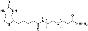Picture of (+)-Biotin-PEG<sub>2</sub>-Hydrazide