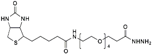 Picture of (+)-Biotin-PEG<sub>4</sub>-Hydrazide