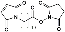 Picture of Maleimide-(CH<sub>2</sub>)<sub>10</sub>-COONHS