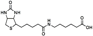 Picture of (+)-Biotin-LC