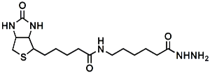 Picture of (+)-Biotin-LC-Hydrazide