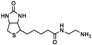 Picture of (+)-Biotin-CH<sub>2</sub>CH<sub>2</sub>NH<sub>2</sub>