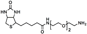 Picture of (+)-Biotin-PEG<sub>2</sub>-CH<sub>2</sub>CH<sub>2</sub>NH<sub>2</sub>