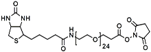 Picture of (+)-Biotin-PEG<sub>24</sub>-NHS Ester