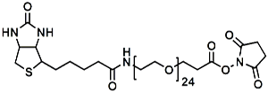 Picture of (+)-Biotin-PEG<sub>24</sub>-NHS Ester