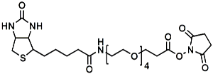 Picture of (+)-Biotin-PEG<sub>4</sub>-NHS Ester