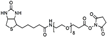 Picture of (+)-Biotin-PEG<sub>8</sub>-NHS Ester