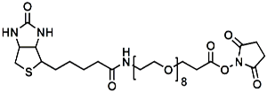 Picture of (+)-Biotin-PEG<sub>8</sub>-NHS Ester