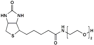 Picture of (+)-Biotin-PEG<sub>2</sub>-OH