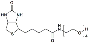 Picture of (+)-Biotin-PEG<sub>4</sub>-OH