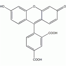 Picture of 5 - Carboxyfluorescein
