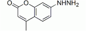 Picture of Coumarin hydrazine