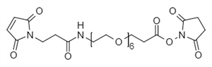 Picture of Maleimide-NH-PEG<sub>6</sub>-CH<sub>2</sub>CH<sub>2</sub>COONHS Ester