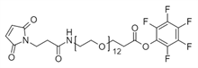 Picture of Maleimide-NH-PEG<sub>12</sub>-CH<sub>2</sub>CH<sub>2</sub>COOPFP Ester
