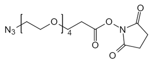 Picture of N<sub>3</sub>-PEG<sub>4</sub>-CH<sub>2</sub>CH<sub>2</sub>COONHS Ester