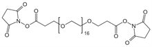Picture of NHS-PEG<sub>16</sub>-NHS