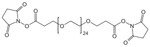Picture of NHS-PEG<sub>24</sub>-NHS