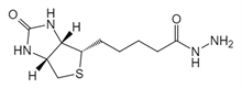 Picture of (+)-Biotin-hydrazide