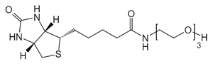 Picture of (+)-Biotin-PEG<sub>3</sub>-OH