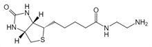 Picture of (+)-Biotin-CH<sub>2</sub>CH<sub>2</sub>NH<sub>2</sub>