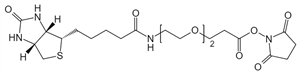 Picture of (+)-Biotin-PEG<sub>2</sub>-NHS Ester
