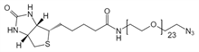 Picture of (+)-Biotin-PEG<sub>23</sub>-CH<sub>2</sub>CH<sub>2</sub>N<sub>3</sub>