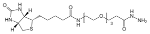 Picture of (+)-Biotin-PEG<sub>3</sub>-Hydrazide
