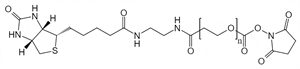 Picture of Biotin-PEG-SCM