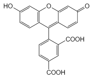 Picture of 5 - Carboxyfluorescein