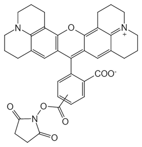 Picture of 5 - (and - 6) - Carboxy - X - rhodamine, succinimidyl ester