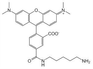 Picture of 5-TAMRA cadaverine