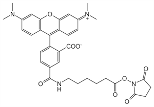 Picture of 5-TAMRA-X, SE