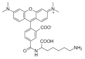 Picture of 5-TAMRA Lysine