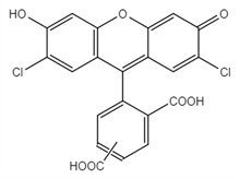 Picture of 5(6)-carboxyl-2’,7’-dichlorofluorescein