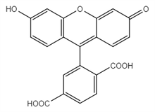 Picture of 6 - Carboxyfluorescein