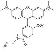 Picture of 5(6)-TAMRA alkyne