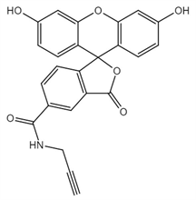 Picture of 5-FAM Alkyne