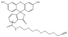 Picture of 5(6)-FAM PEG3 alkyne