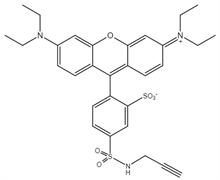 Picture of Sulforhodamine B alkyne