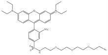 Picture of Sulforhodamine B PEG3 azide