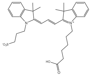Picture of Cy3 carboxylic acid